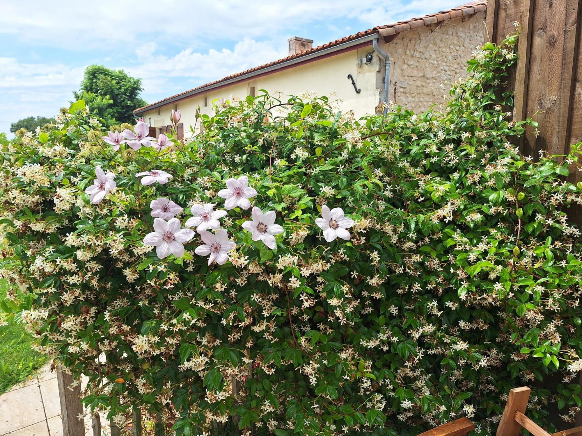 Gite Cosy Grand Confort Dans Un Ecrin De Verdure Agudelle Exterior photo